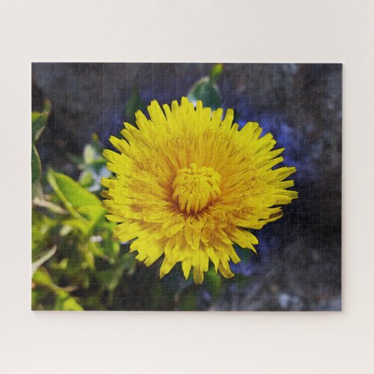Dandelion in zonlicht legpuzzel (Horizontaal)