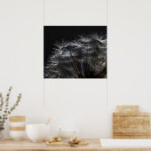 Dandelion in zwart poster (Keuken)