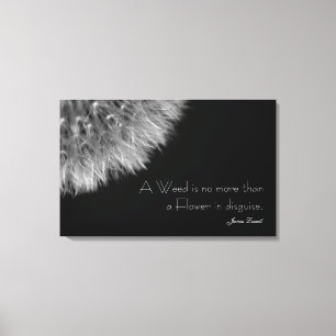 Dandelion in zwart-wit met offerte canvas afdruk