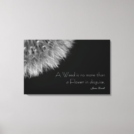 Dandelion in zwart-wit met offerte canvas afdruk (Voorkant)
