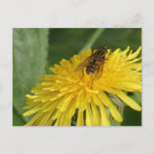 Dandelion & Insect DIY Briefkaart (Voorkant)