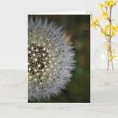 Dandelion, kaart (Gele Bloem)
