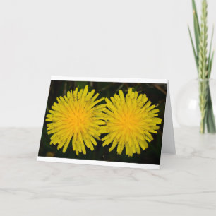 Dandelion, kaart
