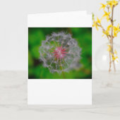Dandelion, kaart (Gele Bloem)