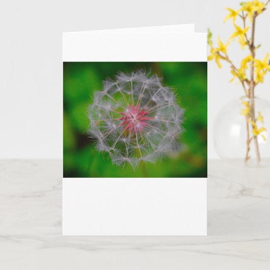 Dandelion, kaart (Gele Bloem)