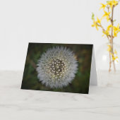 Dandelion, kaart (Gele Bloem)