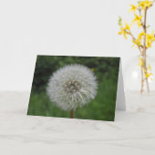 dandelion kaart (Gele Bloem)