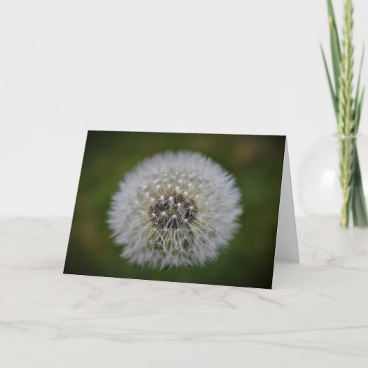 Dandelion, kaart (Voorkant)
