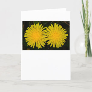 Dandelion, kaart
