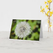 Dandelion, Kaart (Gele Bloem)