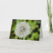 Dandelion, Kaart (Voorkant)