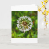 Dandelion, kaart (Gele Bloem)