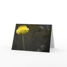 Dandelion, kaart