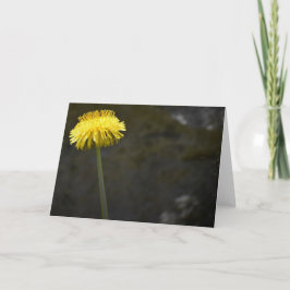 Dandelion, kaart