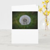 Dandelion, kaart (Gele Bloem)