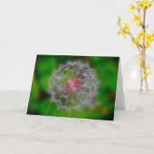 Dandelion, kaart (Gele Bloem)