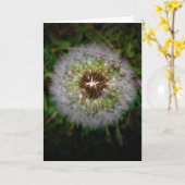 Dandelion, kaart (Gele Bloem)
