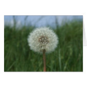 Dandelion Kaart (Voorkant Horizontaal)