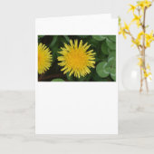 Dandelion, kaart (Gele Bloem)