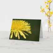 Dandelion, kaart (Gele Bloem)