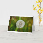 Dandelion, kaart (Gele Bloem)