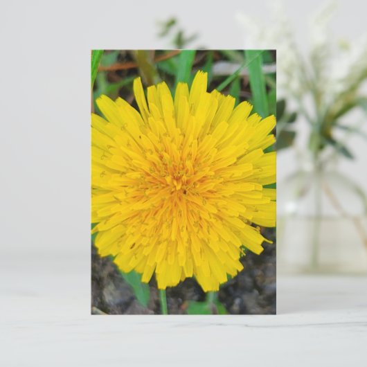 Dandelion Kaart (Staand voorkant)