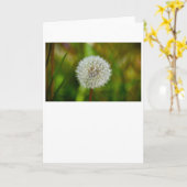 Dandelion, kaart (Gele Bloem)
