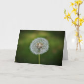 Dandelion, kaart (Gele Bloem)