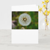 Dandelion, Kaart (Gele Bloem)