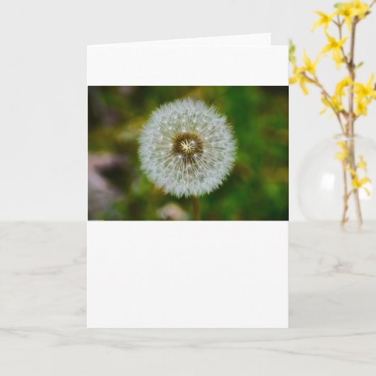 Dandelion, Kaart (Gele Bloem)