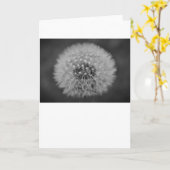 Dandelion, kaart (Gele Bloem)