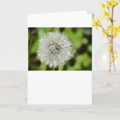 Dandelion, Kaart (Gele Bloem)