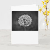 Dandelion, kaart (Gele Bloem)