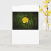 Dandelion, kaart (Gele Bloem)