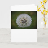 Dandelion, kaart (Gele Bloem)