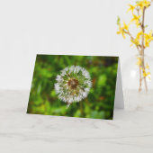 Dandelion, kaart (Gele Bloem)