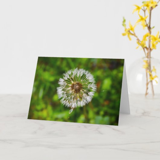Dandelion, kaart (Gele Bloem)