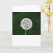 Dandelion, kaart (Gele Bloem)