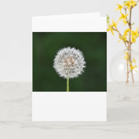 Dandelion, kaart (Gele Bloem)