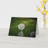 Dandelion, kaart (Gele Bloem)