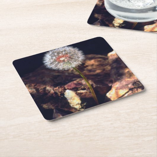 Dandelion Kartonnen Onderzetters (Schuin)