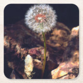 Dandelion Kartonnen Onderzetters (Voorkant)