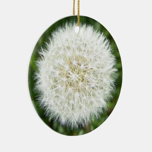 dandelion keramisch ornament (Rechts)