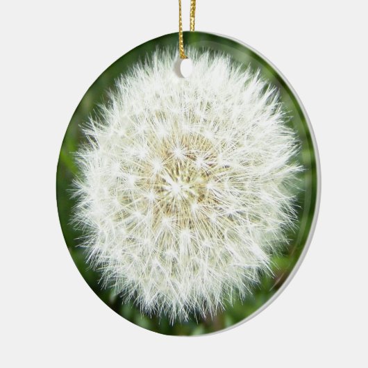 dandelion keramisch ornament (Links)