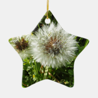 Dandelion Keramisch Ornament