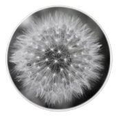 Dandelion Keramische Knop (Voorkant)