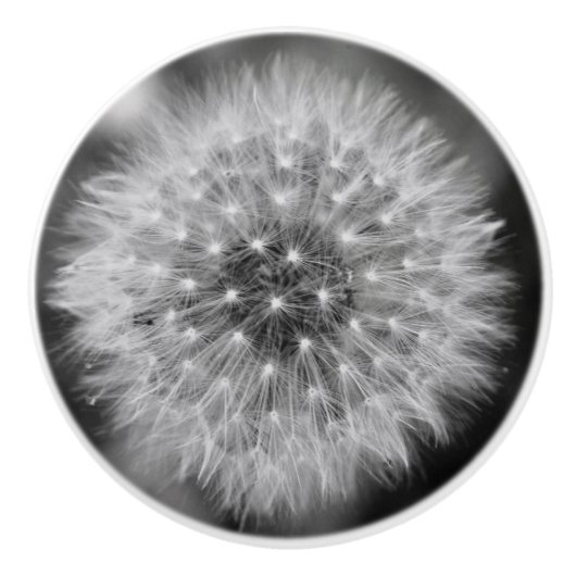 Dandelion Keramische Knop (Voorkant)