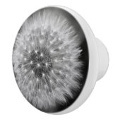 Dandelion Keramische Knop (Rechts)