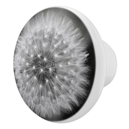 Dandelion Keramische Knop (Rechts)