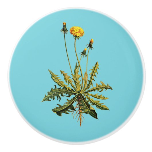 Dandelion Keramische Knop (Voorkant)